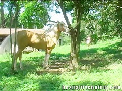 La chupadora de rabos de caballos