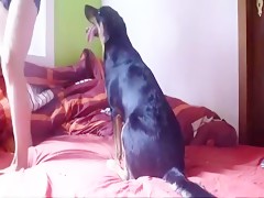 Girls fucking with big dogs