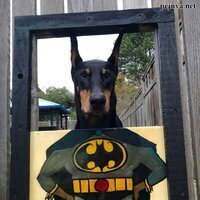 DerLuni's Avatar