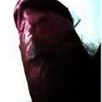 redbullok's Avatar