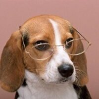 baobao's Avatar