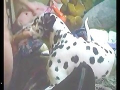 A la cabra se une la pastora