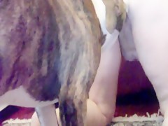 Thumb 12