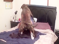 girl watches dog cock on cam
