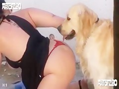 Naughty dog plays with girl