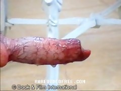 Thumb 12