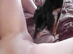 Thumb 17