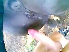 Thumb 12