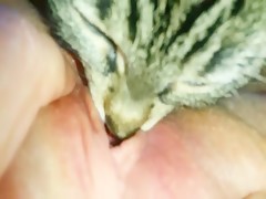 Thumb 19