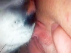 Thumb 6
