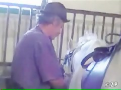 mamadas bestiales