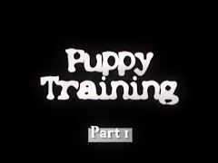 wanking my dog 