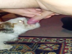 Thumb 14