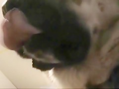 Thumb 17