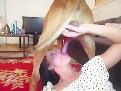 Dogsex compilation