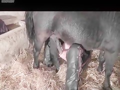 She fuck with poney