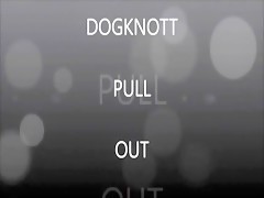 dogknott pul out