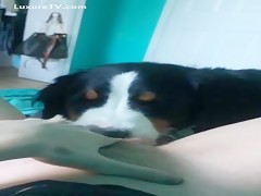 Thumb 4