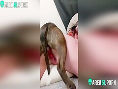 HUSBAND LET A DOG FUCK HIS BIG ASS WIFE
