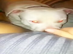 GGLICK01