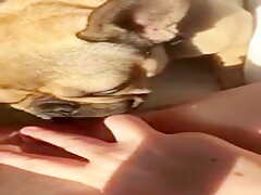 Thumb 2