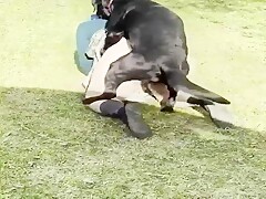 Sexo en el jardin de casa