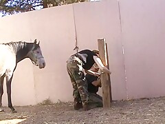 Caledonian - Interrogating KC