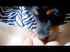 Thumb 3